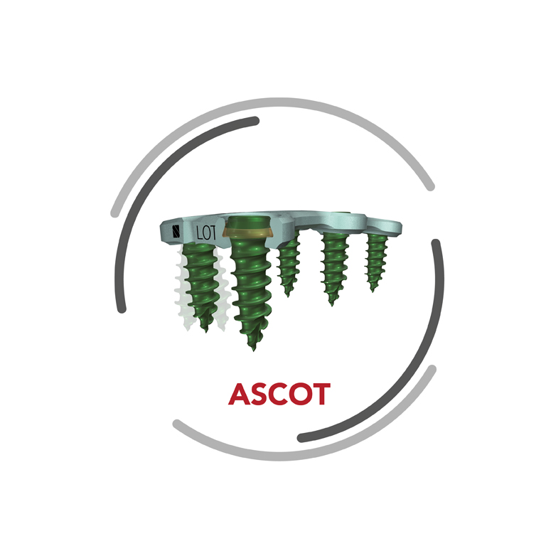 ASCOT – system przedniej stabilizacji kręgosłupa szyjnego