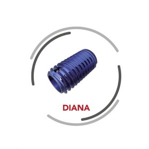 Diana – implant do stabilizacji stawu krzyżowo-biodrowego